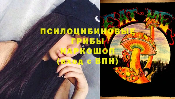 скорость Бронницы