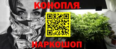 трава Кудрово