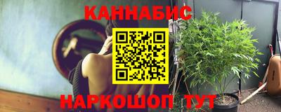 трава Кудрово