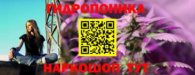 Альфа ПВП Ленинск-Кузнецкий