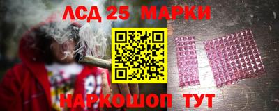 трава Кудрово