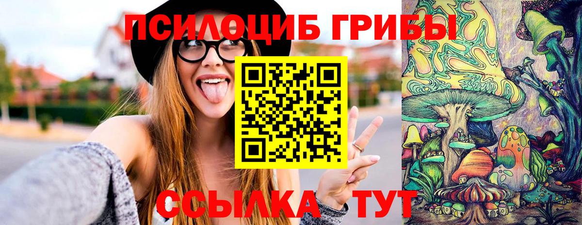 Волжск  Псилоцибиновые грибы Psilocybe  Вход с VPN  Псилоцибиновые грибы прущие грибы 